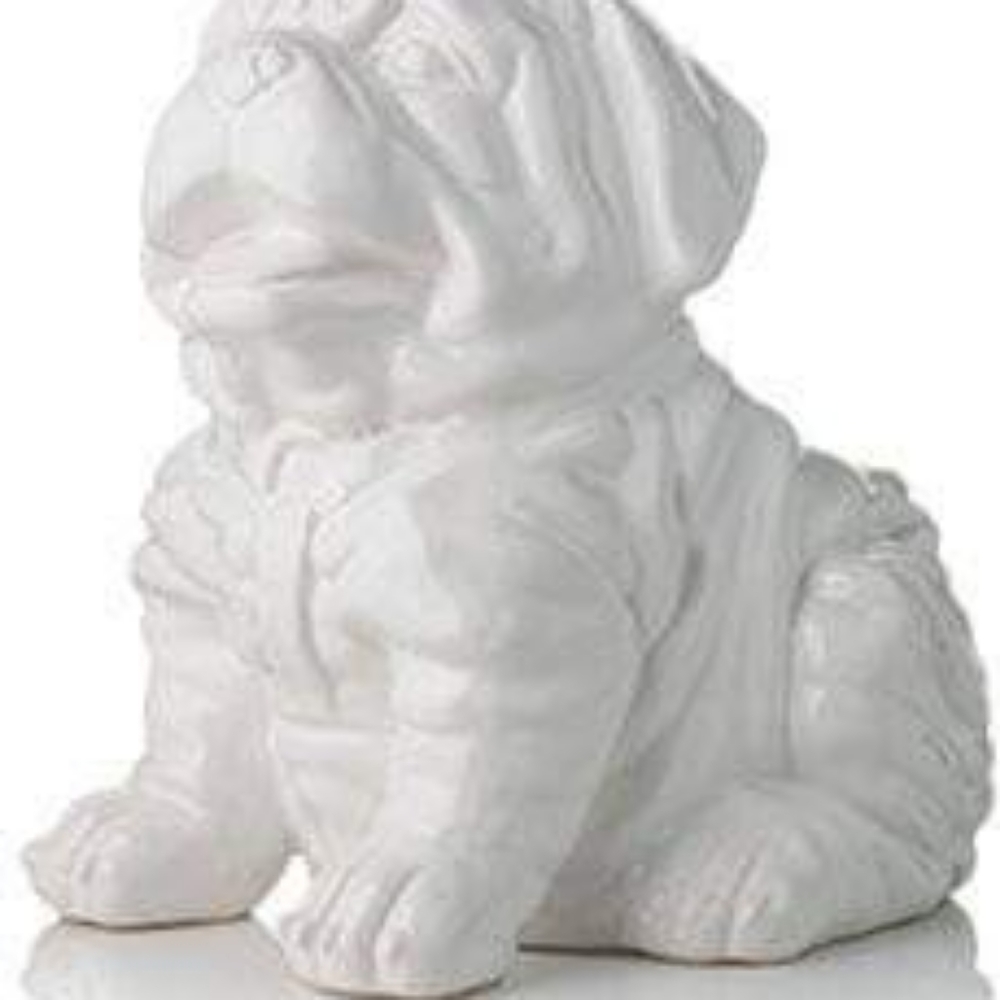 Pink zebra Winston the bulldog shade
